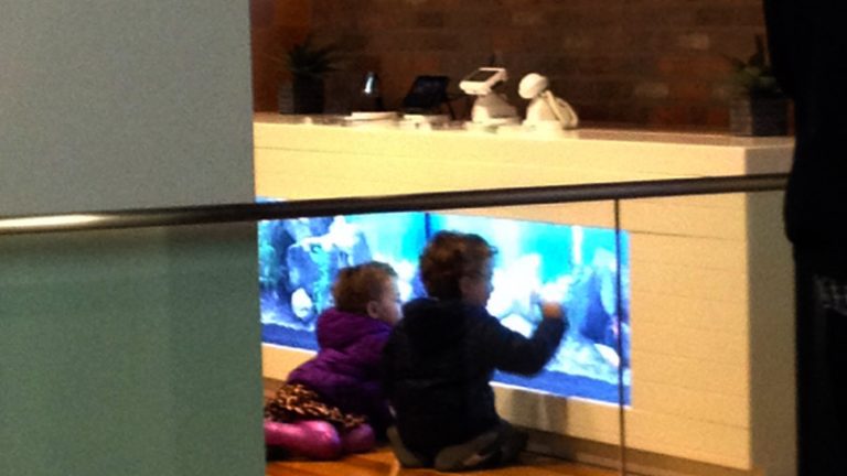 custom digital fishtank time warner cable flagship store